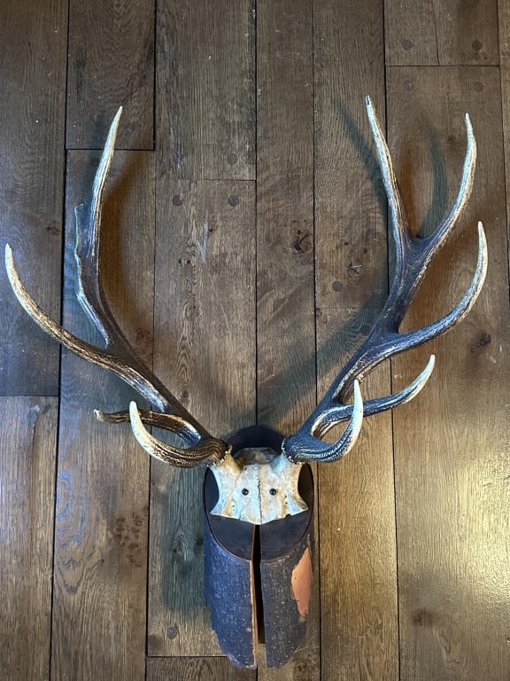 Elk Antlers on a Handmade Wooden Mount (1 of 11)