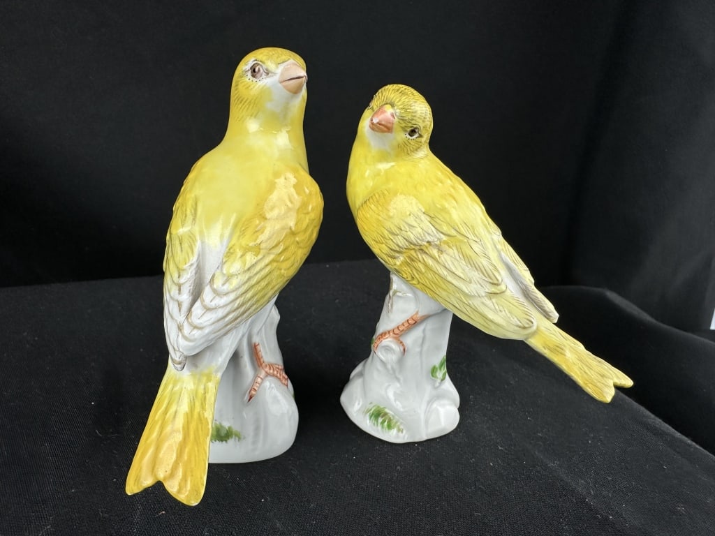Pr. Meissen German Porcelain Yellow Canaries (1 of 12)