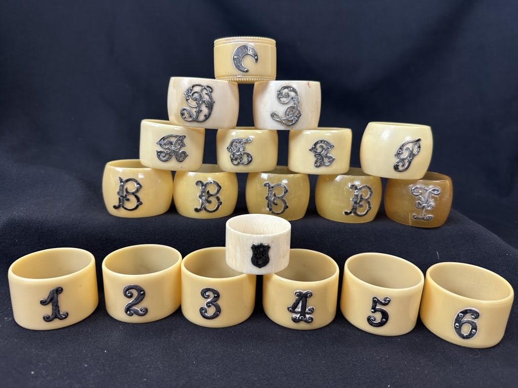 Celluloid w/ Silver Napkin Ring Holders 19pcs (1 of 12)