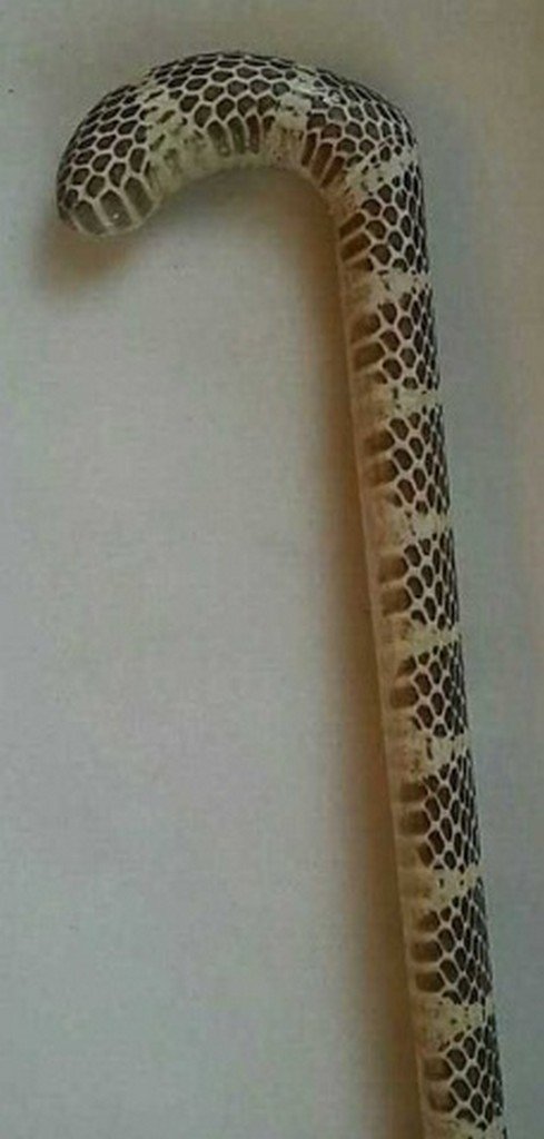 Cane/Walking Stick Covered In Natural Snake Skin (1 of 4)