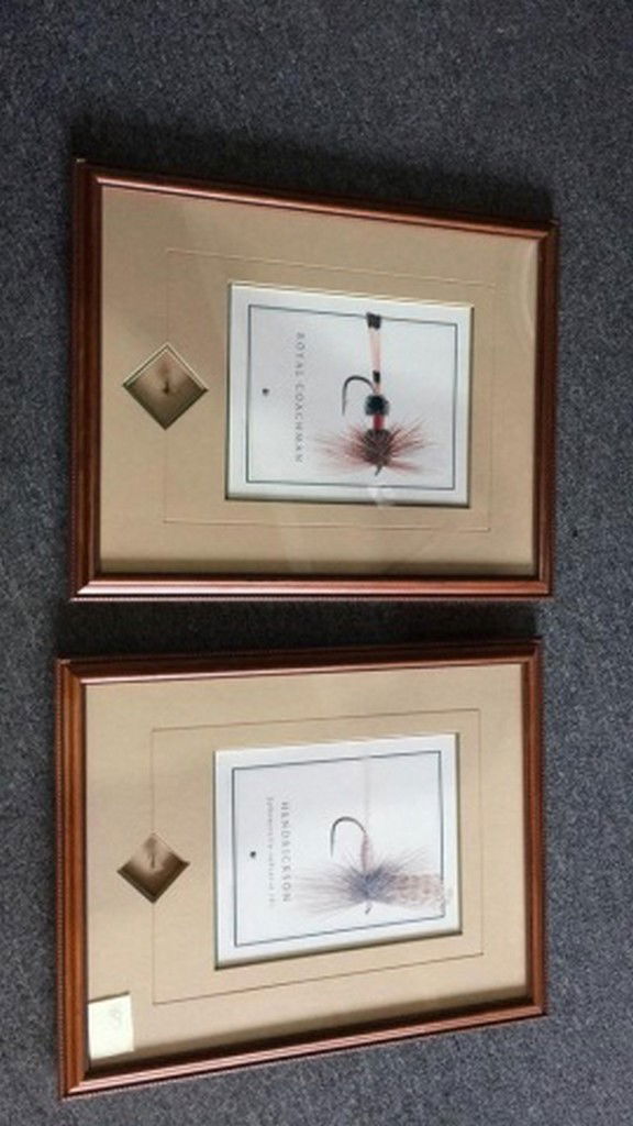 Lot of 2 Framed Trout Fly and Print (1 of 6)