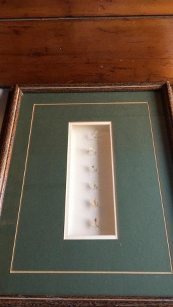 Mounted Trout Flies in Shadowbox (1 of 4)