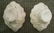 Two Blanc-de-Chine Libation Cups, China, Qing Dynasty - 2