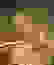 item-51269542=6