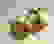 item-51269555=2