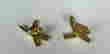 item-52291032=2