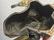 A Pair of Chinese Gilt Bronze Birds With QianLong Mark - 10