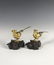A Pair of Chinese Gilt Bronze Birds With QianLong Mark
