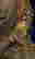 item-70971333=6