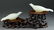 Pair of Chinese White Jade Bird Form Boxes - 2