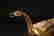 item-95013230=3