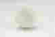 item-119707312=8