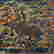 item-139691571=5