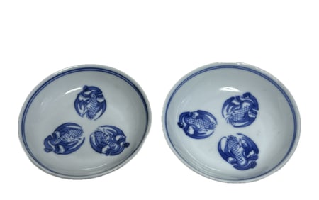 PAIR OF CHINESE BLUE AND WHITE PAINTED DISHES