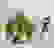 item-48197319=2