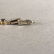 14K White/Yellow Gold Bracelet w/ Gemstones - 6