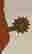item-131696361=2