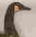item-131696404=3
