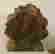 item-131696604=6