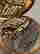 item-131696633=6