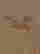 item-131696677=2