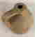 item-131696681=6