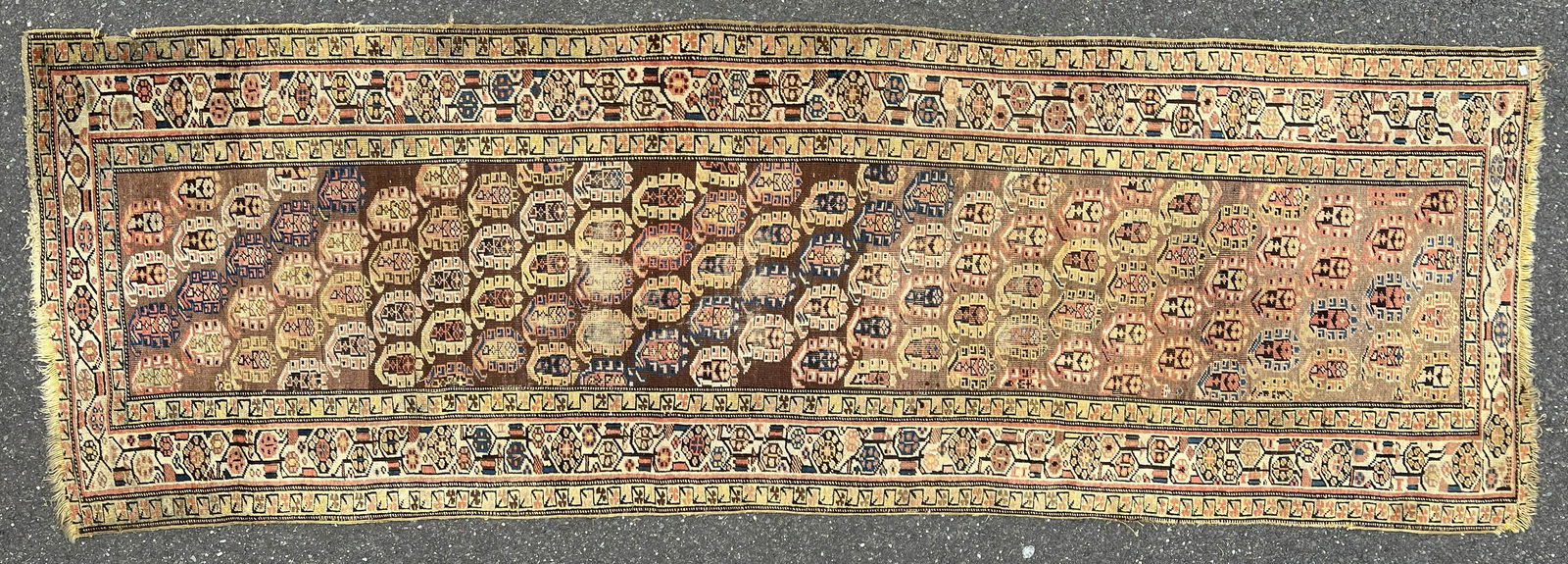 Oriental Runner (1 of 6)