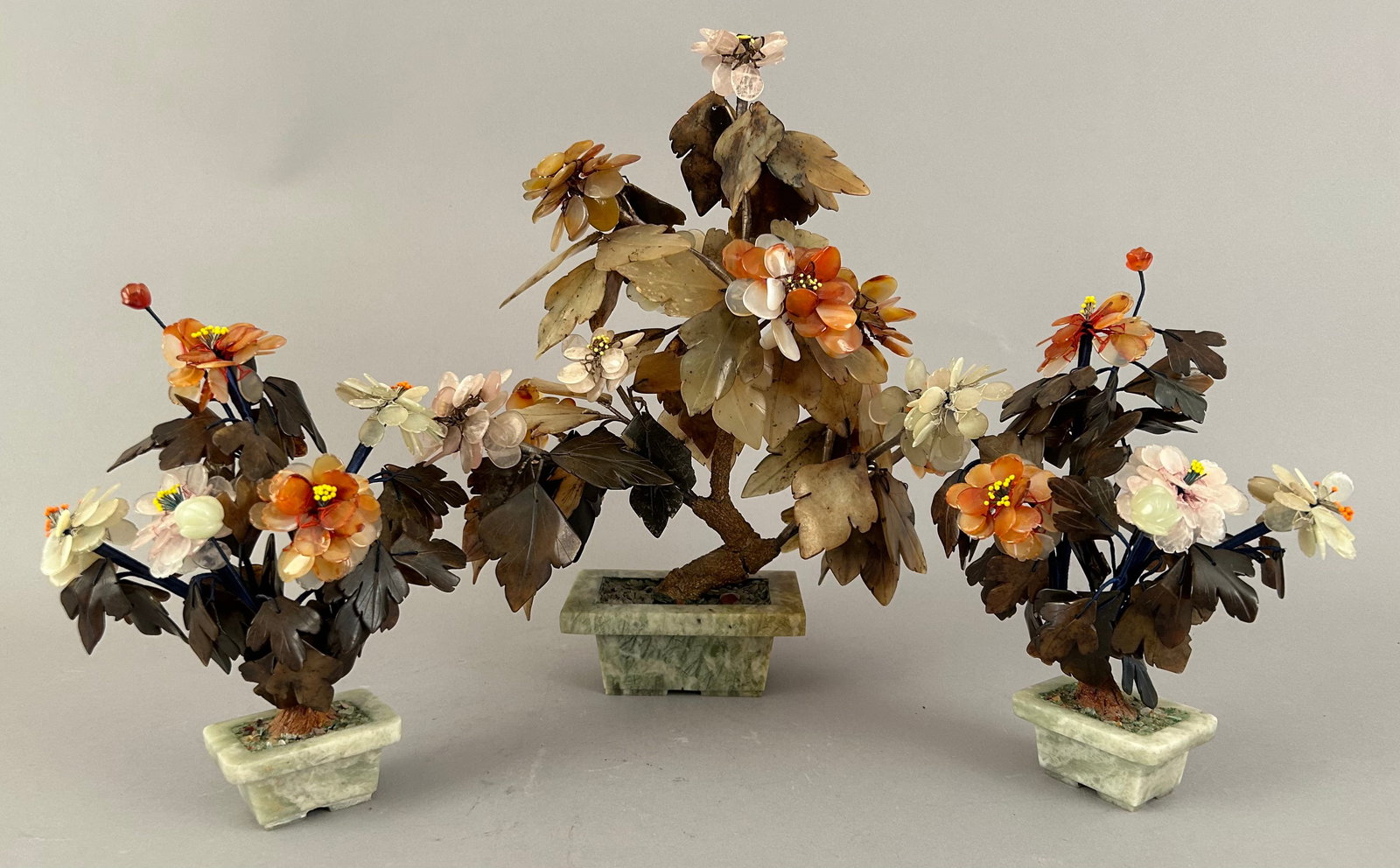 Three Jade Trees: Three Jade trees. One larger and two smaller.