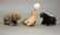 Lot: Seal, Walrus and Bear