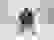 item-88310741=4