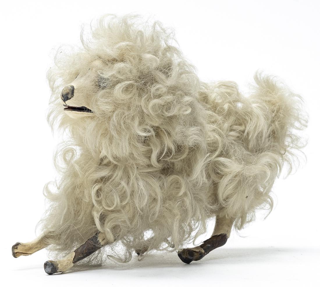 White Poodle Windup (1 of 4)