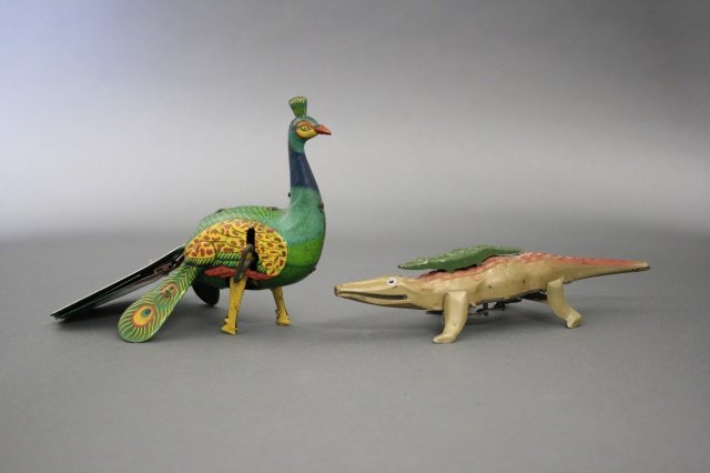 Strutting Peacock and Alligator (1 of 2)