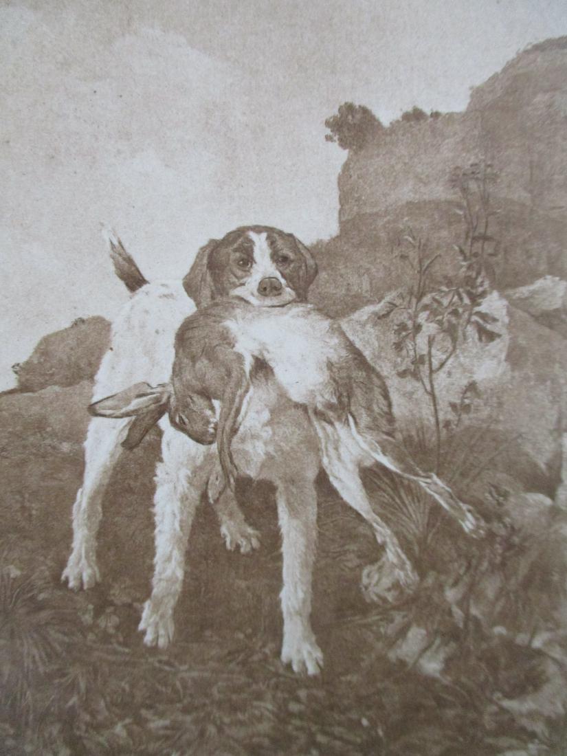 The Retriever - Philippe Rousseau: The Retriever On stiff paper. With plate mark. Artist: Philippe Rousseau Print Type: Photogravure Date: Circa 1890 Publisher: <