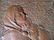 Austrian/German Secessionist Bronze Mother & Child - 3