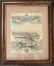 City of Newport Rhode Island - Brotherhead - 2