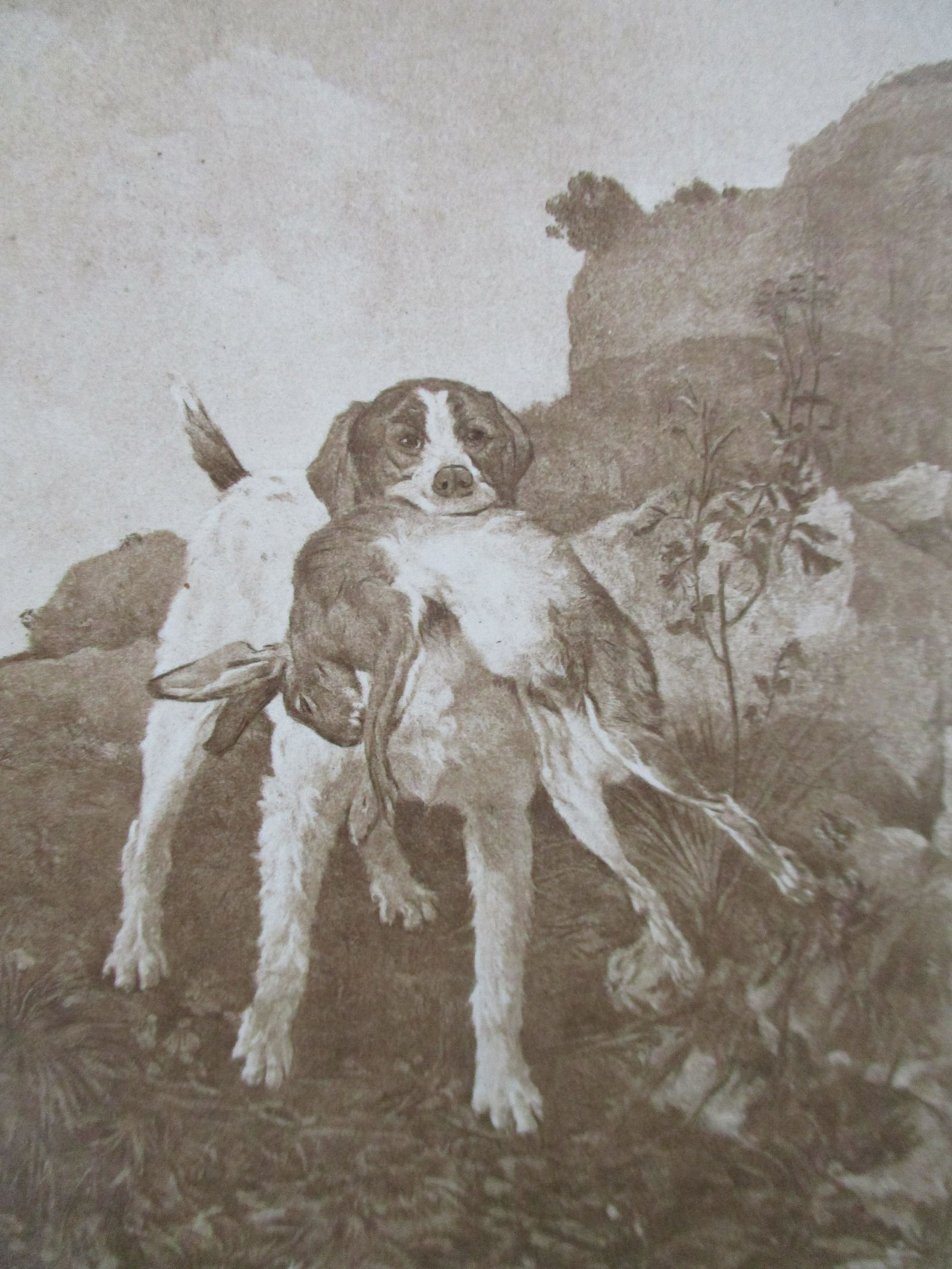 The Retriever - Philippe Rousseau: The Retriever On stiff paper. With plate mark. Artist: Philippe Rousseau Print Type: Photogravure Date: Circa 1890 Publisher: Joseph Kni