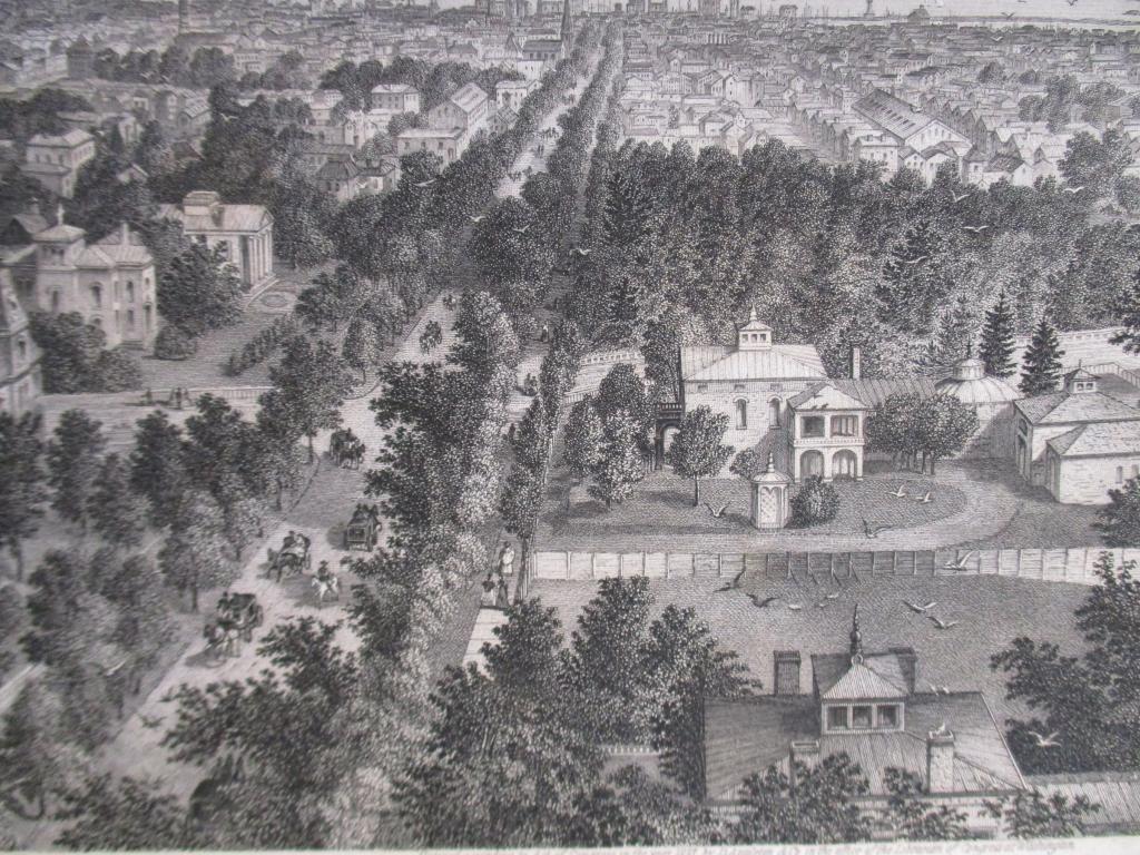 City of Buffalo, New York: City of Buffalo, New York After A. C. Warren Artist: A. C. Warren Print Type: Engraving Date: 1873 Publisher: D. Appleton & Co. O