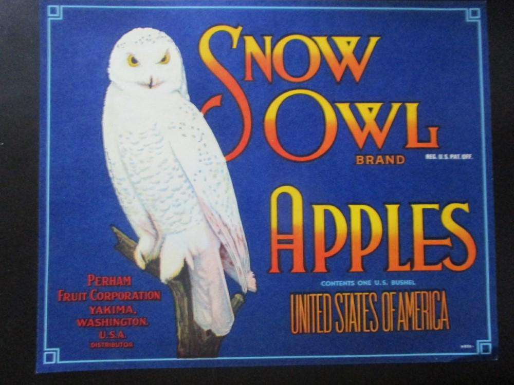 Snow Owl  Apples  - Washington State  Ad (1 of 4)