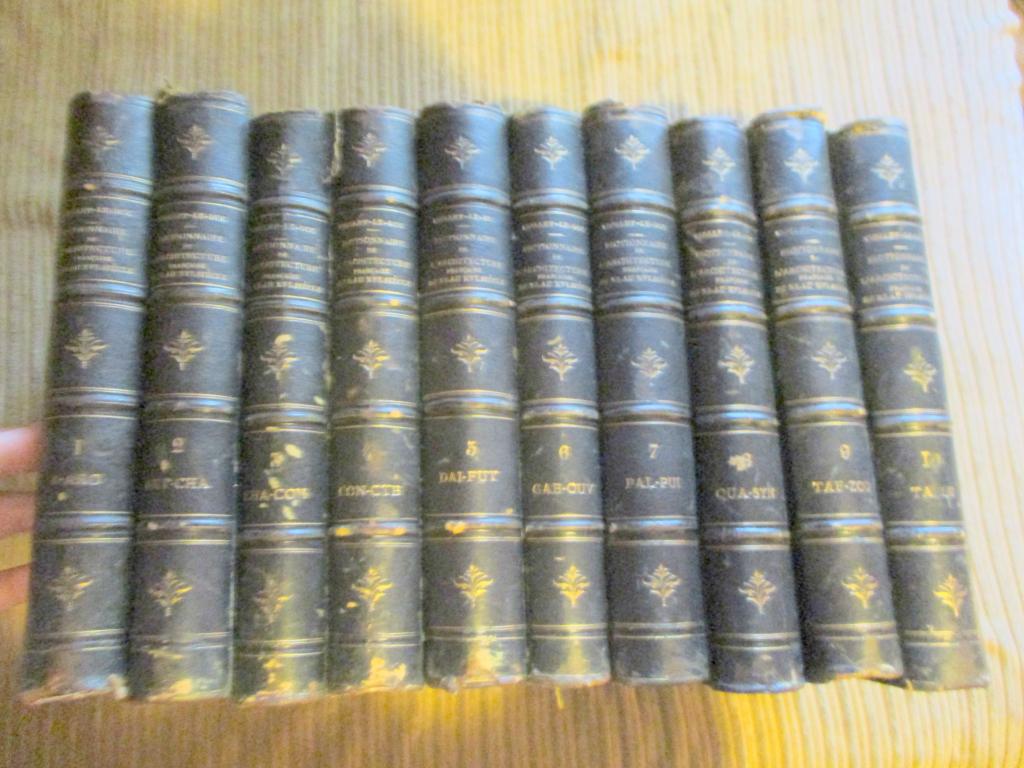 Dictionnaire Raisonne de L'architecture 10 Vols (1 of 9)