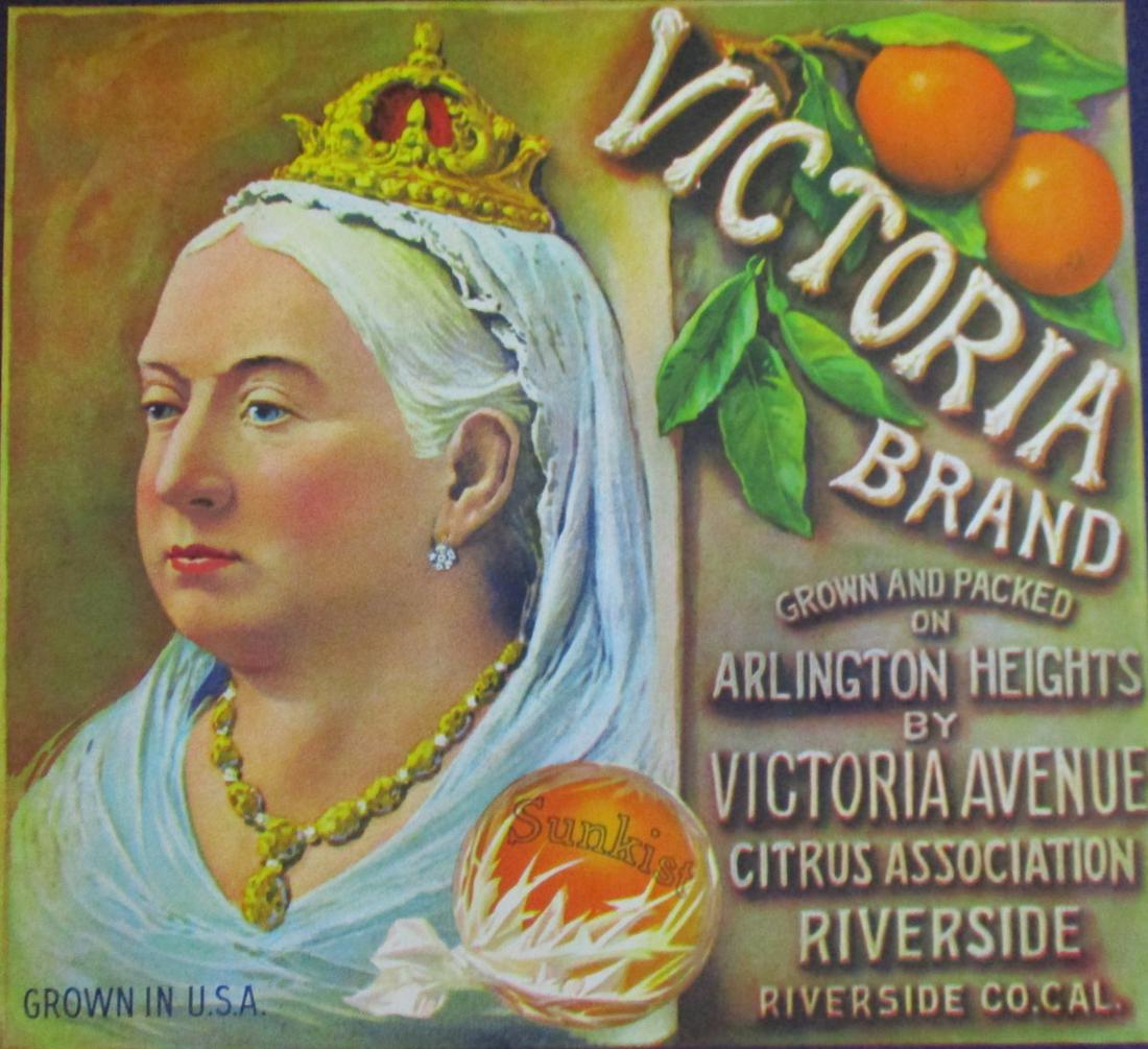 Victoria Sunkist Oranges California Advertising (1 of 4)