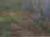 item-101907376=2