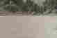 item-101907387=3