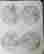item-127779973=2