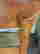 item-127780291=4