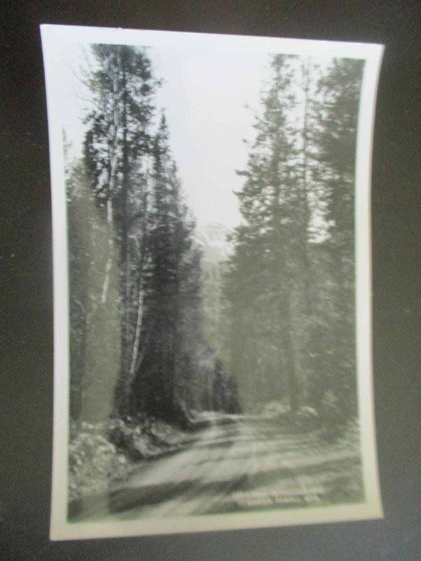 Cody Road to Yellowstone - Albert G. Lucier: Cody Road to Yellowstone Wyoming. Signed and titled in photograph - Lucier, Powell, Wyo. Photographer: Albert G. Lucier 1877 - 1962 Signed: In photograph