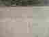 item-127780725=3