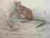 item-127780792=2