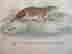 item-127780792=4