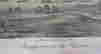 item-136318662=3