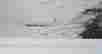 item-136319581=2